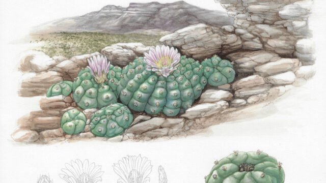 Screenshot-2025-04-10-at-11.29.19 AM-1